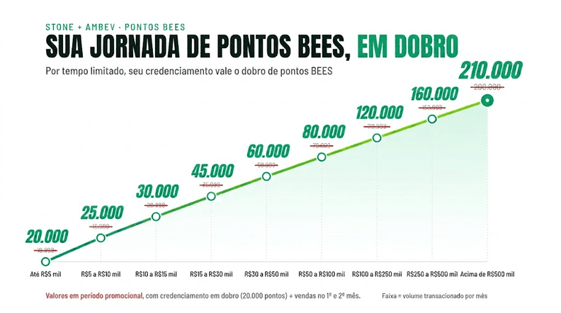 Imagem de um grafico sua jornada de pontos